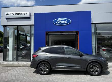 Ford - Kuga