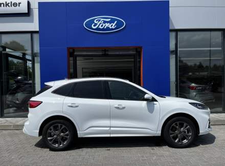 Ford - Kuga