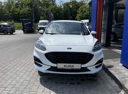 Ford - Kuga