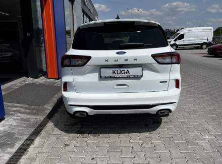 Ford - Kuga