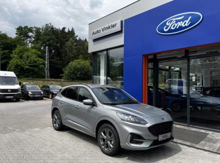 Ford - Kuga
