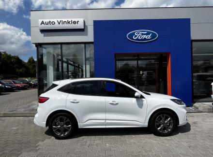 Ford - Kuga