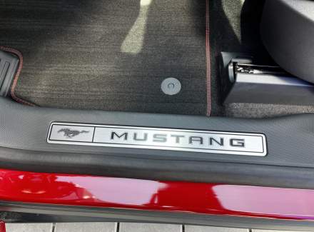 Ford - Mustang Mach-E