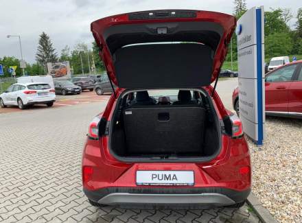 Ford - Puma
