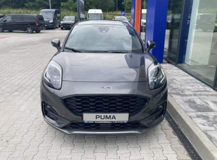 Ford - Puma