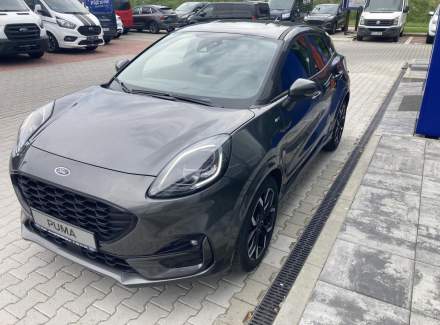 Ford - Puma