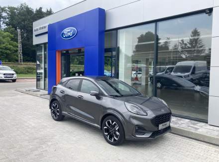 Ford - Puma