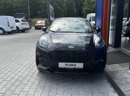 Ford - Puma