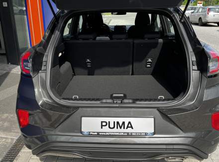 Ford - Puma
