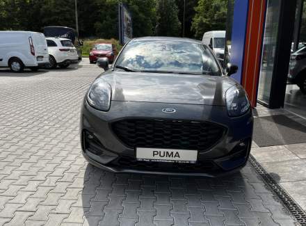 Ford - Puma