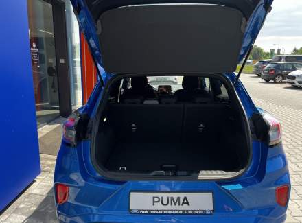 Ford - Puma