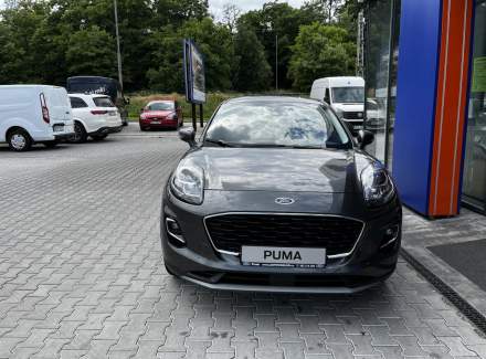 Ford - Puma