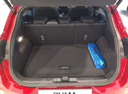 Ford - Puma