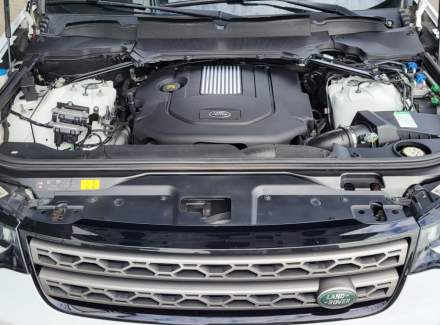 Land Rover - Discovery