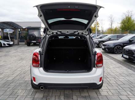 Mini - Countryman