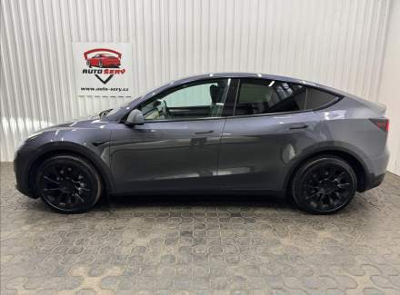 Tesla - Model Y