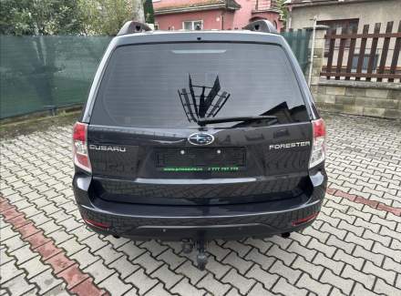 Subaru - Forester