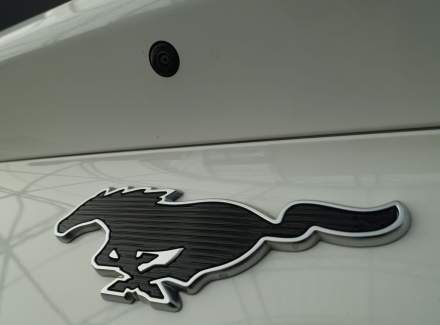 Ford - Mustang Mach-E