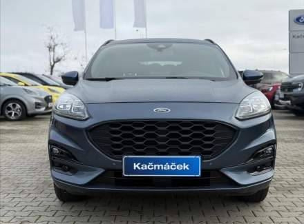Ford - Kuga