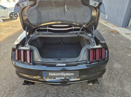 Ford - Mustang