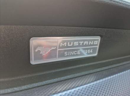 Ford - Mustang