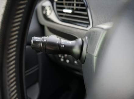 Renault - Scenic