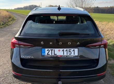 Škoda - Octavia
