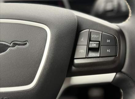 Ford - Mustang Mach-E