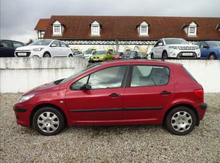 Peugeot - 307