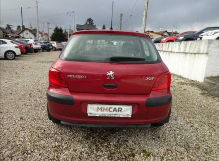 Peugeot - 307