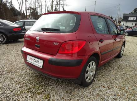 Peugeot - 307
