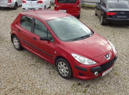 Peugeot - 307