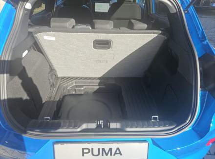 Ford - Puma