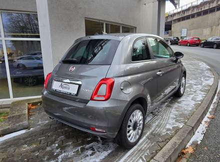 Fiat - 500