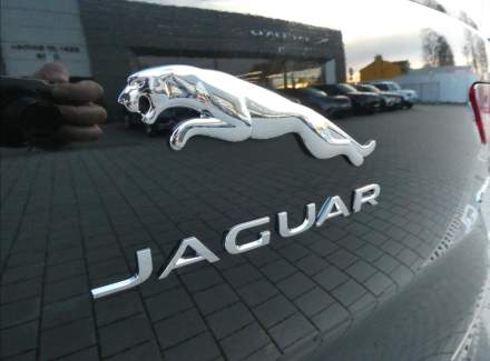 Jaguar - I-Pace