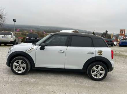 Mini - Countryman
