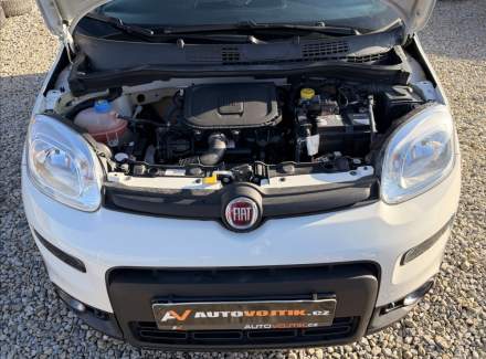 Fiat - Panda