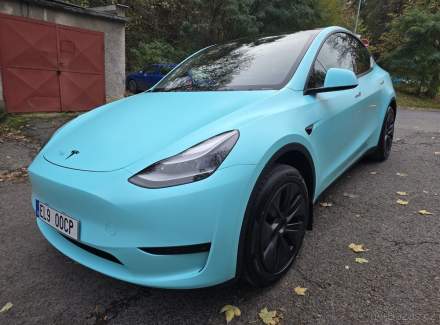 Tesla - Model Y