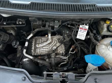 Volkswagen - Caravelle