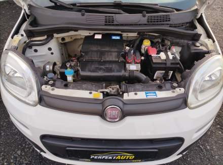 Fiat - Panda