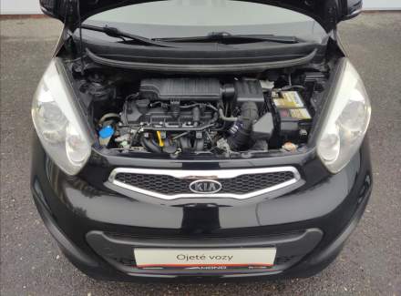 Kia - Picanto
