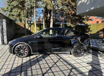 Tesla - Model Y