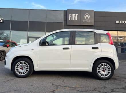 Fiat - Panda