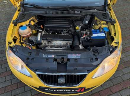 Seat - Ibiza