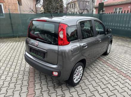 Fiat - Panda
