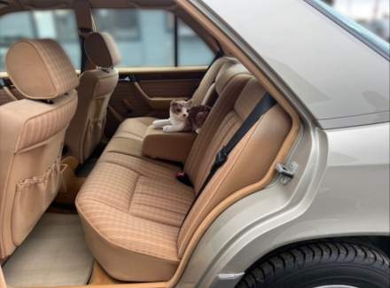 Mercedes-Benz - E-class