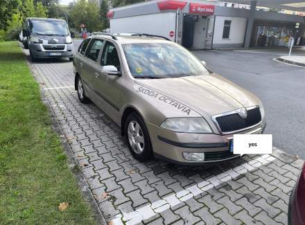 Škoda - Octavia 1.9 TDI (105 Hp)
