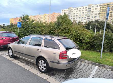 Škoda - Octavia 1.9 TDI (105 Hp)