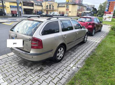 Škoda - Octavia 1.9 TDI (105 Hp)