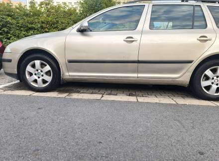 Škoda - Octavia 1.9 TDI (105 Hp)
